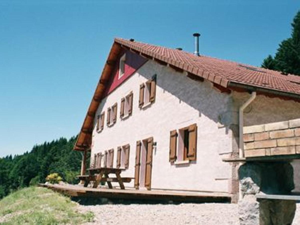 Gite Spacieux, Confort Moderne, 8 Pers, Terrasse Privative, Animaux Admis, Wifi - Fr-1-589-227 Vagney Екстер'єр фото